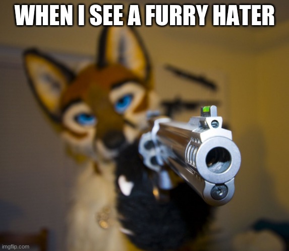 lmao so me | WHEN I SEE A FURRY HATER | image tagged in furry with gun | made w/ Imgflip meme maker