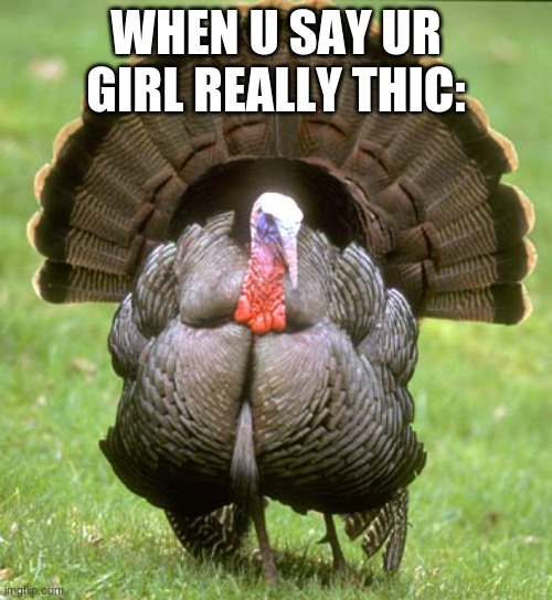 eheh |  WHEN U SAY UR GIRL REALLY THIC: | image tagged in memes,turkey | made w/ Imgflip meme maker