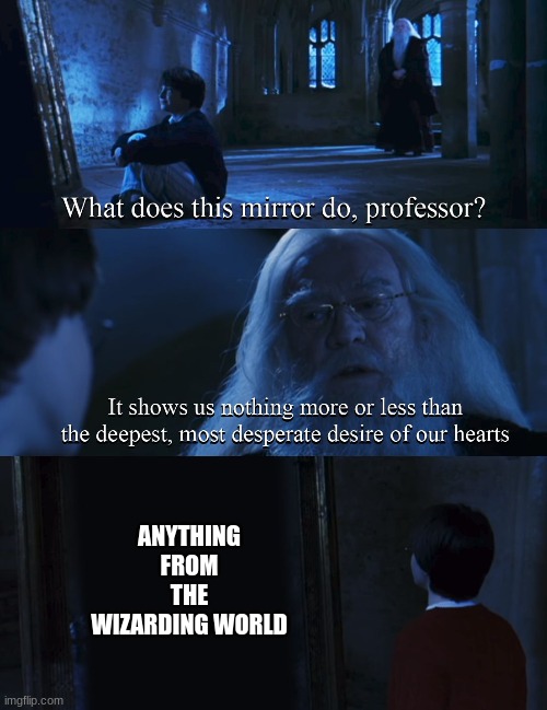 Harry potter mirror | ANYTHING FROM THE WIZARDING WORLD | image tagged in harry potter mirror | made w/ Imgflip meme maker