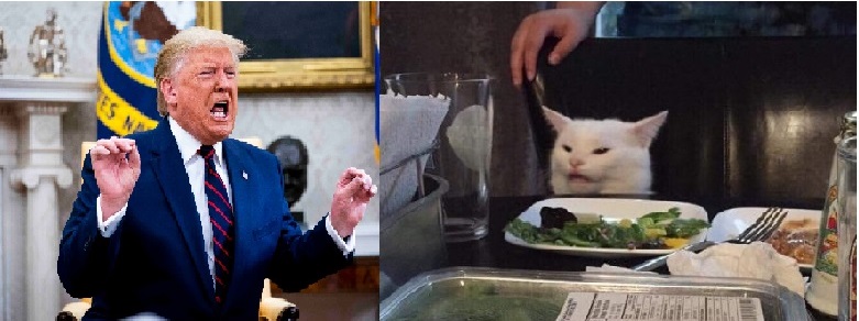 TRUMP TABLE CAT Blank Meme Template