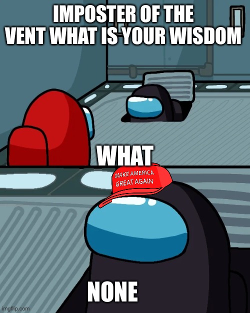 impostor of the vent | IMPOSTER OF THE VENT WHAT IS YOUR WISDOM; WHAT; NONE | image tagged in vent | made w/ Imgflip meme maker