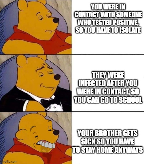 covid is dumb, winnie the pooh is derpy. | YOU WERE IN CONTACT WITH SOMEONE WHO TESTED POSITIVE, SO YOU HAVE TO ISOLATE; THEY WERE INFECTED AFTER YOU WERE IN CONTACT, SO YOU CAN GO TO SCHOOL; YOUR BROTHER GETS SICK SO YOU HAVE TO STAY HOME ANYWAYS | image tagged in tuxedo winnie the pooh derpy,covid-19,covid,covid19,winniethepooh,winnie the pooh | made w/ Imgflip meme maker