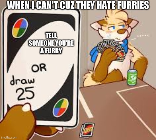 I tried I'm bad at memes | WHEN I CAN'T CUZ THEY HATE FURRIES; TELL SOMEONE YOU'RE A FURRY | image tagged in furry draw 25 | made w/ Imgflip meme maker