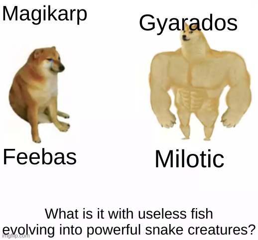 It's True | Magikarp; Gyarados; Milotic; Feebas; What is it with useless fish evolving into powerful snake creatures? | image tagged in buff doge vs cheems reversed,memes,pokemon | made w/ Imgflip meme maker