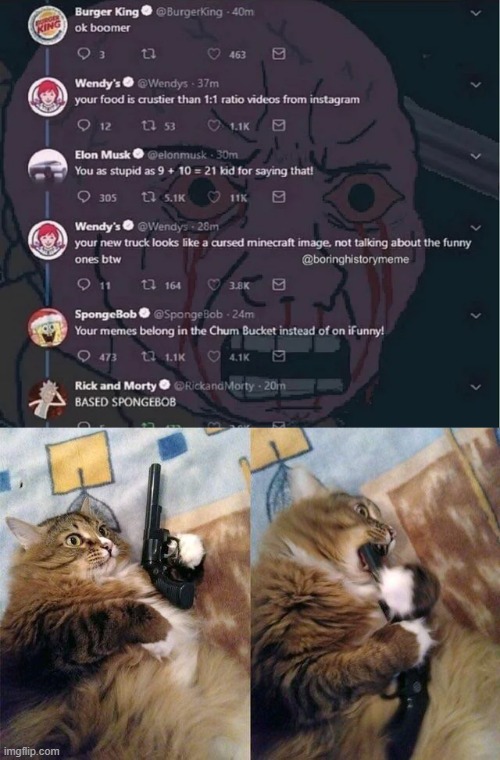 END ME PLEASE! | image tagged in gun to mouth cat,memes,funny,wendy's,fellow kids | made w/ Imgflip meme maker