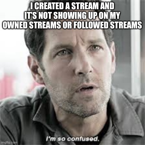antman i'm so confused | I CREATED A STREAM AND IT’S NOT SHOWING UP ON MY OWNED STREAMS OR FOLLOWED STREAMS | image tagged in antman i'm so confused,memes,true | made w/ Imgflip meme maker