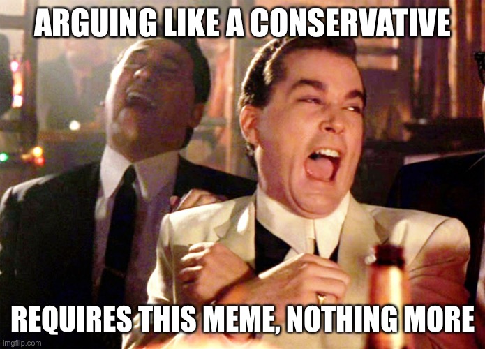 It appears so | ARGUING LIKE A CONSERVATIVE; REQUIRES THIS MEME, NOTHING MORE | image tagged in memes,good fellas hilarious | made w/ Imgflip meme maker