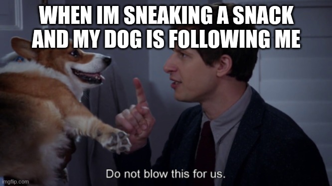 do not blow this for us brooklyn 99 | WHEN IM SNEAKING A SNACK AND MY DOG IS FOLLOWING ME | image tagged in do not blow this for us brooklyn 99 | made w/ Imgflip meme maker