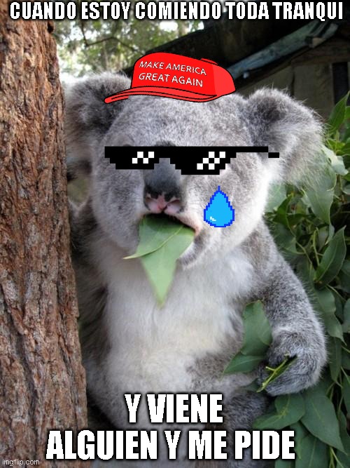 Surprised Koala Meme | CUANDO ESTOY COMIENDO TODA TRANQUI; Y VIENE ALGUIEN Y ME PIDE | image tagged in memes,surprised koala | made w/ Imgflip meme maker