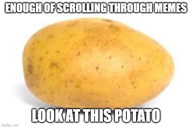 potatoooooo | ENOUGH OF SCROLLING THROUGH MEMES; LOOK AT THIS POTATO | image tagged in potato | made w/ Imgflip meme maker