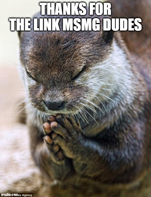 Thank you Lord Otter | THANKS F0R THE LINK MSMG DUDES | image tagged in thank you lord otter | made w/ Imgflip meme maker