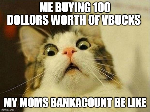 Scared Cat Meme |  ME BUYING 100 DOLLORS WORTH OF VBUCKS; MY MOMS BANKACOUNT BE LIKE | image tagged in memes,scared cat | made w/ Imgflip meme maker