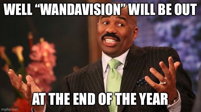 WELL “WANDAVISION” WILL BE OUT AT THE END OF THE YEAR | image tagged in memes,steve harvey | made w/ Imgflip meme maker