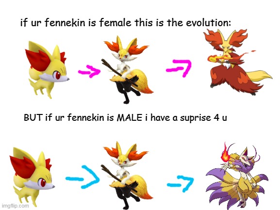 Fennekin evolution meme | if ur fennekin is female this is the evolution:; BUT if ur fennekin is MALE i have a suprise 4 u | image tagged in blank white template | made w/ Imgflip meme maker