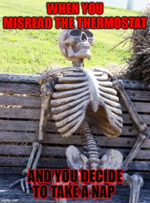 Waiting Skeleton Meme | WHEN YOU MISREAD THE THERMOSTAT; AND YOU DECIDE TO TAKE A NAP | image tagged in memes,waiting skeleton | made w/ Imgflip meme maker