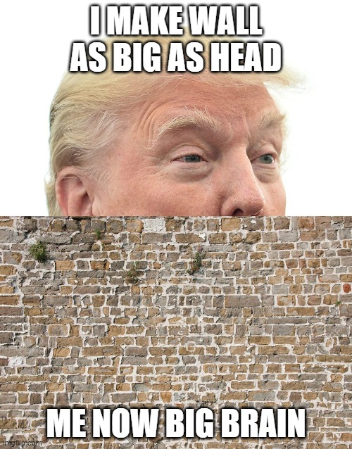 Trump Wall | I MAKE WALL AS BIG AS HEAD; ME NOW BIG BRAIN | image tagged in trump wall | made w/ Imgflip meme maker