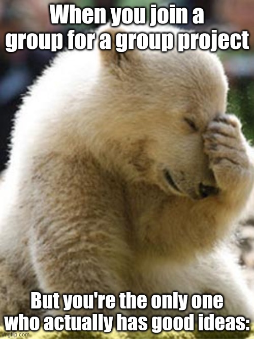 Facepalm Bear Meme | When you join a group for a group project; But you're the only one who actually has good ideas: | image tagged in memes,facepalm bear | made w/ Imgflip meme maker