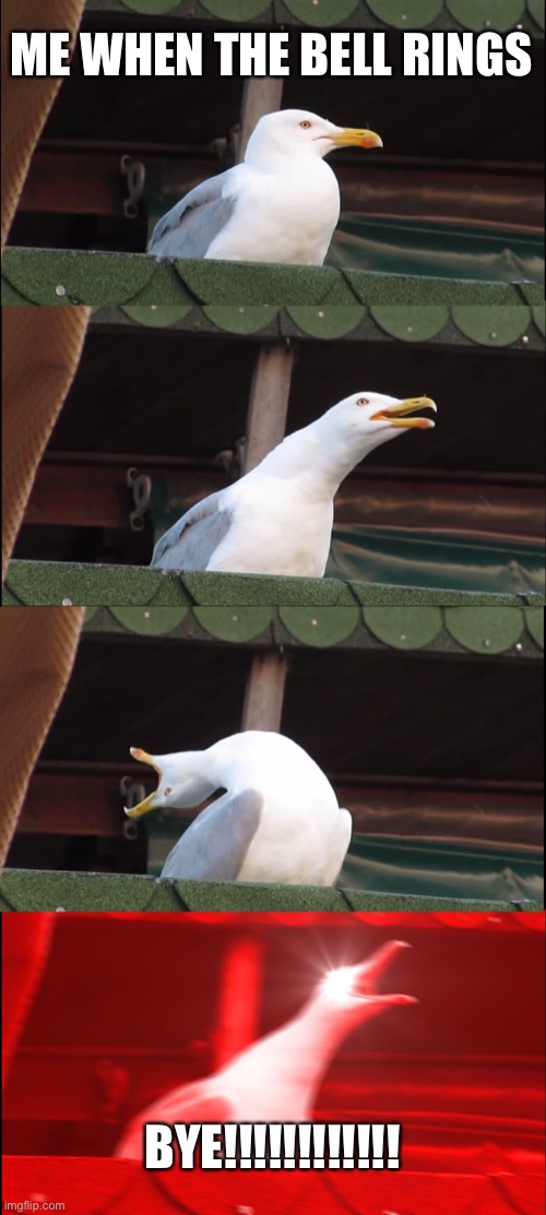 Dank | ME WHEN THE BELL RINGS; BYE!!!!!!!!!!!! | image tagged in memes,inhaling seagull | made w/ Imgflip meme maker