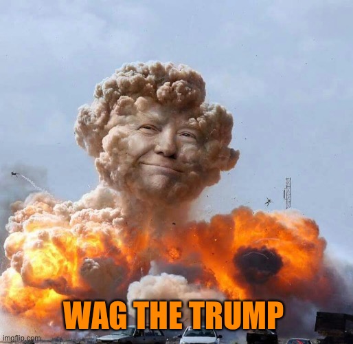 Trump Bomb | WAG THE TRUMP | image tagged in trump bomb | made w/ Imgflip meme maker