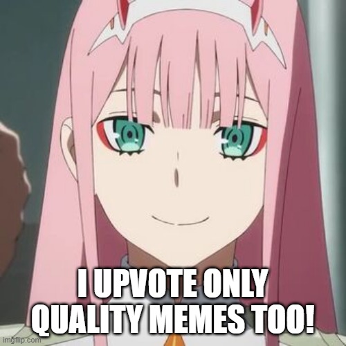 I UPVOTE ONLY QUALITY MEMES TOO! | made w/ Imgflip meme maker