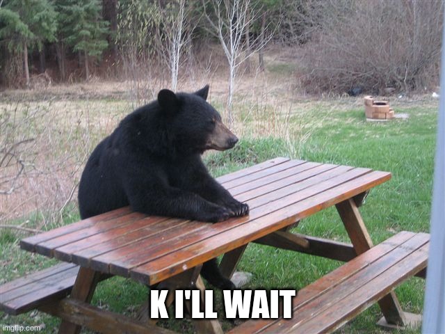 Patient Bear | K I'LL WAIT | image tagged in patient bear | made w/ Imgflip meme maker