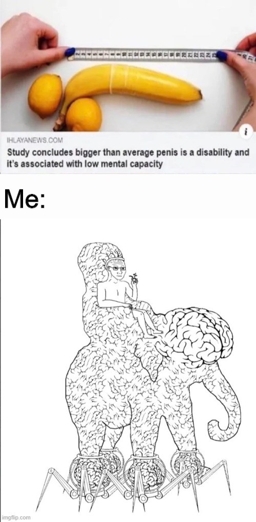 Elephant brain | Me: | image tagged in big brain,memes,funny,disability,smart | made w/ Imgflip meme maker