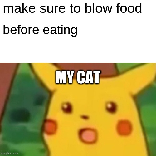 Surprised Pikachu Meme | make sure to blow food; before eating; MY CAT | image tagged in memes,surprised pikachu | made w/ Imgflip meme maker