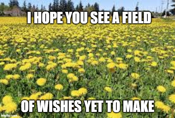 dandelion wish | I HOPE YOU SEE A FIELD; OF WISHES YET TO MAKE | image tagged in perspective | made w/ Imgflip meme maker