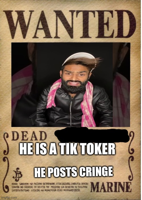 No tik tokers | HE IS A TIK TOKER; HE POSTS CRINGE | image tagged in one piece wanted poster template | made w/ Imgflip meme maker