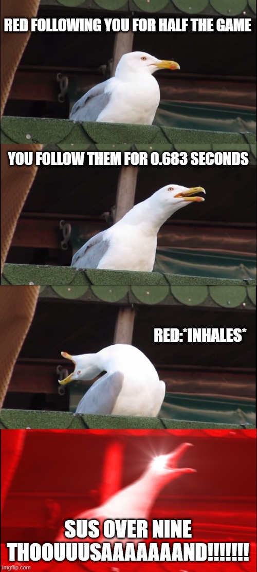 Noobs are the death of me | RED FOLLOWING YOU FOR HALF THE GAME; YOU FOLLOW THEM FOR 0.683 SECONDS; RED:*INHALES*; SUS OVER NINE THOOUUUSAAAAAAAND!!!!!!! | image tagged in memes,inhaling seagull,funny memes,too funny,among us,emergency meeting among us | made w/ Imgflip meme maker