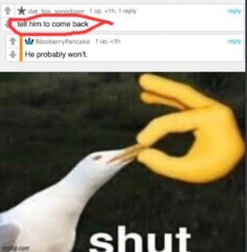 made w/ Imgflip meme maker
