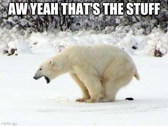 Polar Bear Shits in the Snow |  AW YEAH THAT'S THE STUFF | image tagged in polar bear shits in the snow | made w/ Imgflip meme maker