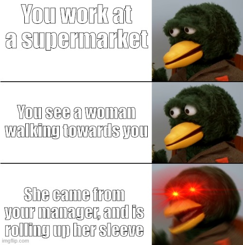 DHMIS duck meme | You work at a supermarket; You see a woman walking towards you; She came from your manager, and is rolling up her sleeve | image tagged in dhmis duck meme | made w/ Imgflip meme maker