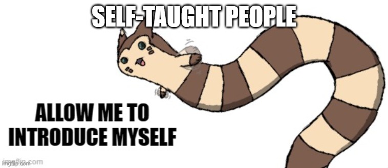 Furret allow me to introduce myself | SELF-TAUGHT PEOPLE | image tagged in furret allow me to introduce myself | made w/ Imgflip meme maker