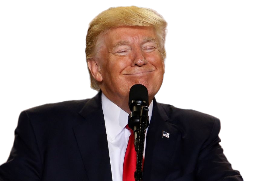 High Quality Scumbag Donald Trump Blank Meme Template