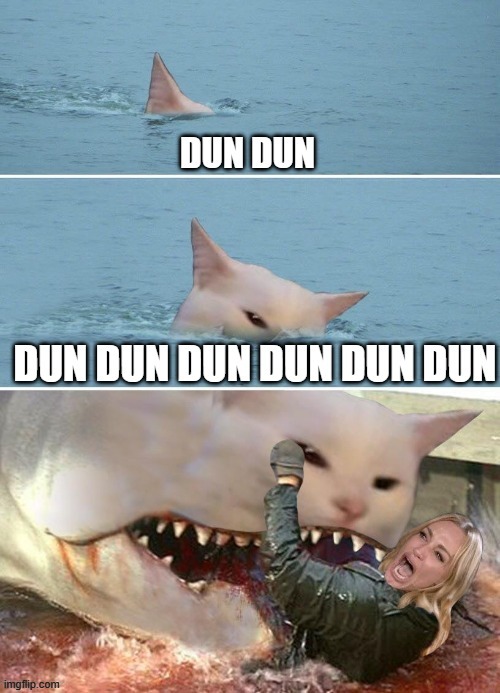 Dun Dun | image tagged in funny memes,memes,woman yelling at cat,cat wins | made w/ Imgflip meme maker