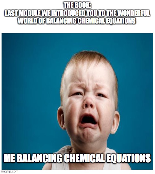THE BOOK:
LAST MODULE WE INTRODUCED YOU TO THE WONDERFUL WORLD OF BALANCING CHEMICAL EQUATIONS; ME BALANCING CHEMICAL EQUATIONS | image tagged in blank white template | made w/ Imgflip meme maker