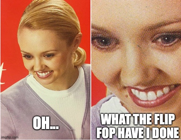 oh no |  WHAT THE FLIP FOP HAVE I DONE; OH... | image tagged in oh no | made w/ Imgflip meme maker