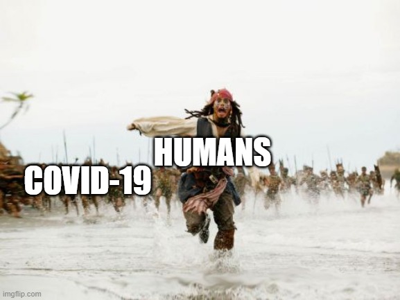 Jack Sparrow Being Chased | HUMANS; COVID-19 | image tagged in memes,jack sparrow being chased,cat | made w/ Imgflip meme maker