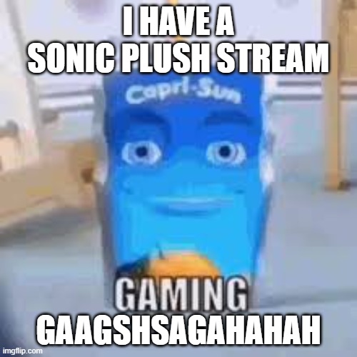 Gaming | I HAVE A SONIC PLUSH STREAM; GAAGSHSAGAHAHAH | image tagged in gaming | made w/ Imgflip meme maker
