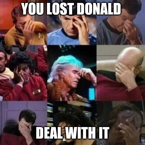 star trek face palm | YOU LOST DONALD; DEAL WITH IT | image tagged in star trek face palm | made w/ Imgflip meme maker