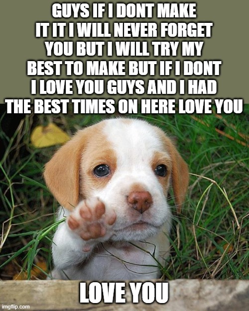 i love you guys | GUYS IF I DONT MAKE IT IT I WILL NEVER FORGET YOU BUT I WILL TRY MY BEST TO MAKE BUT IF I DONT I LOVE YOU GUYS AND I HAD THE BEST TIMES ON HERE LOVE YOU; LOVE YOU | image tagged in dog puppy bye | made w/ Imgflip meme maker