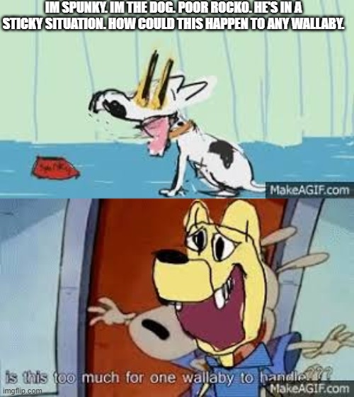 IM SPUNKY. IM THE DOG. POOR ROCKO. HE'S IN A STICKY SITUATION. HOW COULD THIS HAPPEN TO ANY WALLABY. | image tagged in is this too much for one wallaby to handle | made w/ Imgflip meme maker