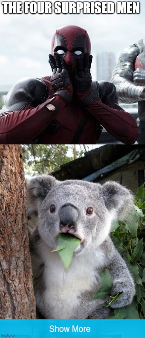 surprised men | THE FOUR SURPRISED MEN | image tagged in surprised deadpool,memes,surprised koala,wow patrick,surprised cat | made w/ Imgflip meme maker