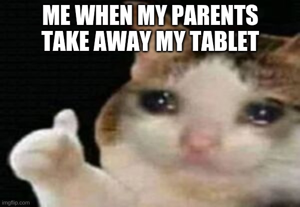 crying cat thumbs up | ME WHEN MY PARENTS TAKE AWAY MY TABLET | image tagged in crying cat thumbs up | made w/ Imgflip meme maker