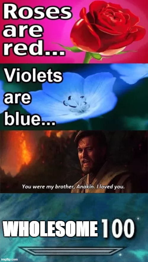 I found this on the Web... |  WHOLESOME | image tagged in roses are red violets are are blue,you were my brother,anikan,i loved you | made w/ Imgflip meme maker
