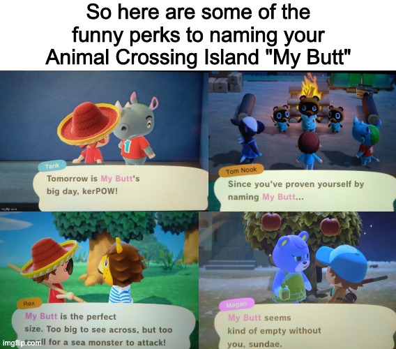These images were taken over time. This was indeed my island. | So here are some of the funny perks to naming your Animal Crossing Island "My Butt" | image tagged in blank white template | made w/ Imgflip meme maker