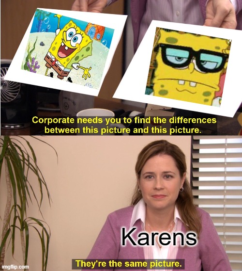 They're The Same Picture Meme | Karens | image tagged in memes,they're the same picture | made w/ Imgflip meme maker