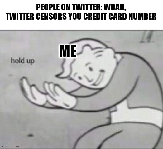 Hold up | PEOPLE ON TWITTER: WOAH, TWITTER CENSORS YOU CREDIT CARD NUMBER; ME | image tagged in fallout hold up | made w/ Imgflip meme maker