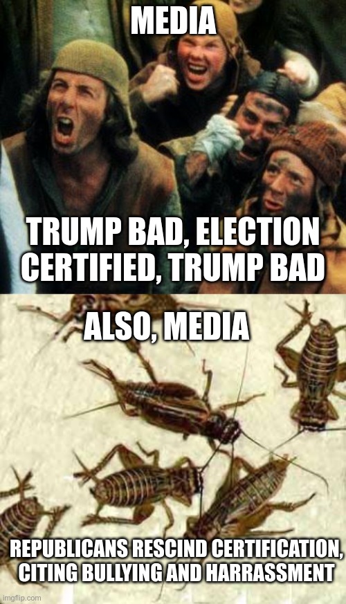 In Today's News | MEDIA; TRUMP BAD, ELECTION CERTIFIED, TRUMP BAD; ALSO, MEDIA; REPUBLICANS RESCIND CERTIFICATION, CITING BULLYING AND HARRASSMENT | image tagged in burn her,crickets,trump,election 2020 | made w/ Imgflip meme maker